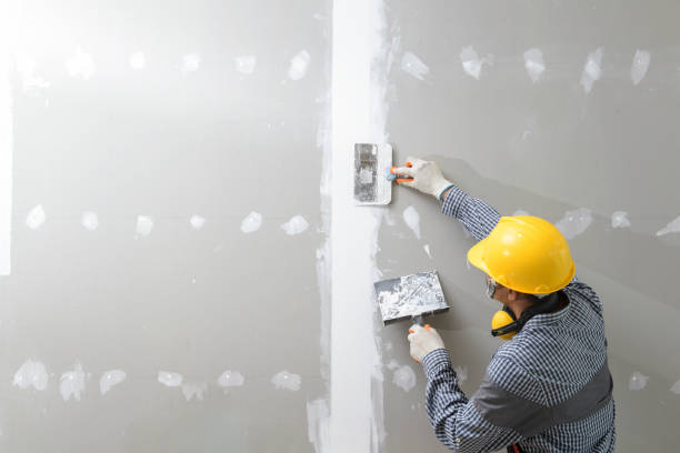 Best Mold Damage Restoration  in Redland, MD